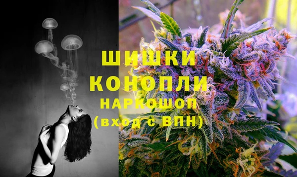 эйфоретик Михайловск