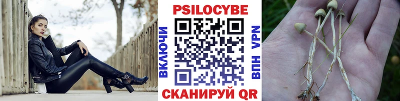 Галлюциногенные грибы Psilocybe  как найти закладки  Кириши 