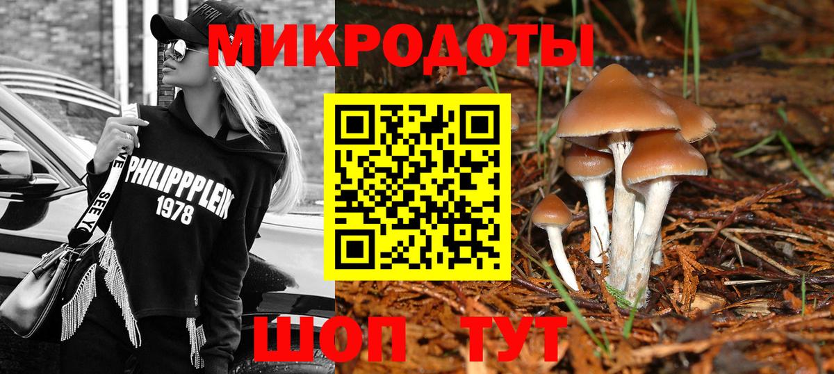 Галлюциногенные грибы мухоморы Кириши