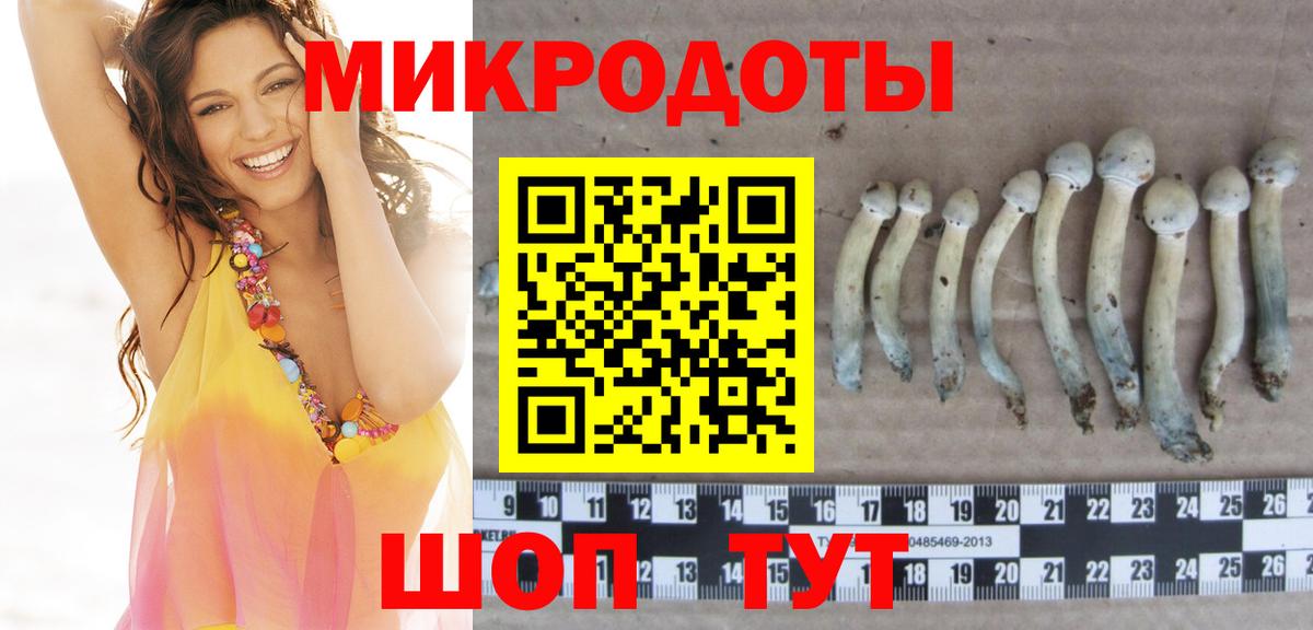 где продают наркотики  Псилоцибиновые грибы мицелий  Кириши  Галлюциногенные грибы Psilocybe 