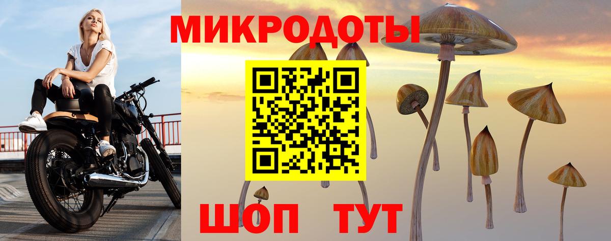 Галлюциногенные грибы GOLDEN TEACHER Кириши